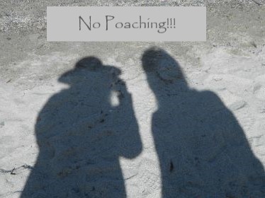 No poaching please!